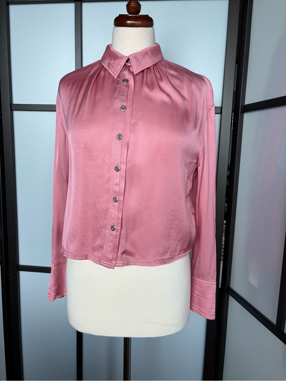 Pilcro Anthropologie Dusty Rose Satin Button Down Blouse Viscose Size SP
